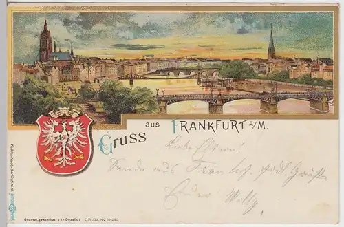 (95204) AK Gruss aus Frankfurt a.M., Panorama 1899
