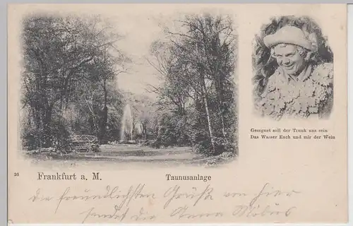 (95203) AK Frankfurt a.M., Taunusanlage, 1906