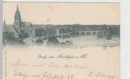 (91197) AK Gruss aus Frankfurt a.M., Panorama, 1897