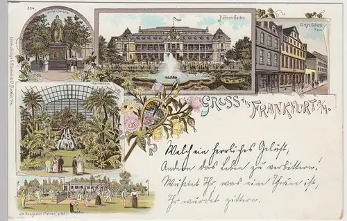 (91193) AK Gruss aus Frankfurt a.M., Palmengarten, Goethehaus, Litho um 1900