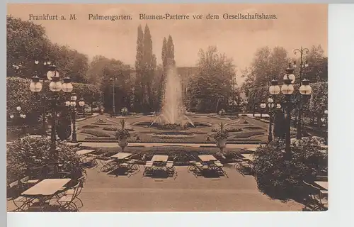 (84619) AK Frankfurt a.M., Palmengarten, Blumen-Parterre vor 1945