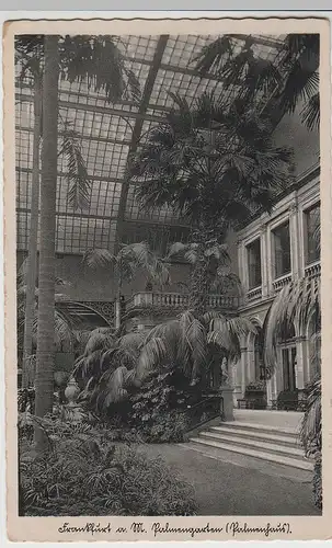 (83912) AK Frankfurt am Main, Palmenhaus, Palmengarten, vor 1945