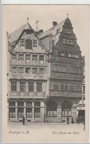 (69503) AK Frankfurt am Main, Römer, Haus Frauenstein, Salzhaus, bis 1905