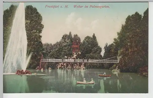 (66333) AK Frankfurt am Main, Weiher im Palmengarten, vor 1920