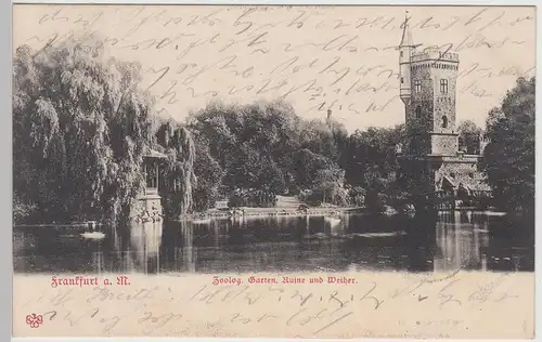 (115089) AK Frankfurt a.M., Zoologischer Garten, Ruine und Weiher 1906