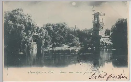 (114827) AK Frankfurt a.M., Zoologischer Garten 1901
