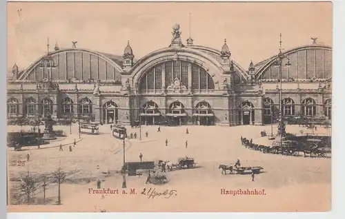 (111890) AK Frankfurt am Main, Hauptbahnhof, Straßenbahn, Pferdefuhrwerke 1905