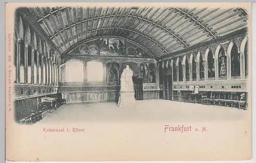 (108398) AK Frankfurt am Main, Römer, Kaisersaal, Reliefkarte, bis 1905