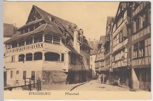 (40450) AK Strassburg, Pflanzbad 1910er