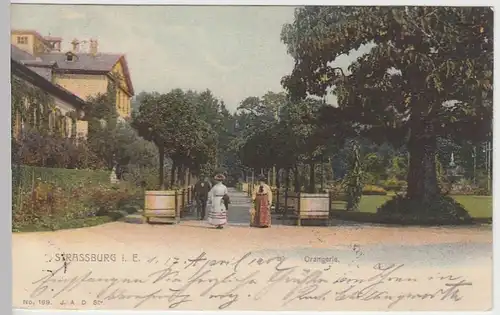 (40448) AK Strassburg, Orangerie 1902
