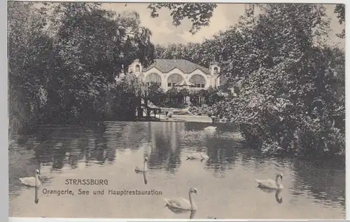 (40445) AK Strassburg, Orangerie, See und Hauptrestauration 1914
