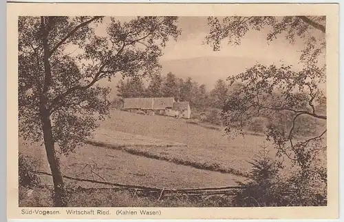 (35220) AK Süd-Vogesen, Wirtschaft Ried (Kahlen Wasen), vor 1945