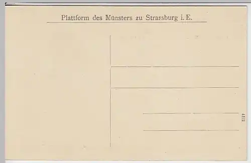 (22639) AK Straßburg, Strasbourg, Blick von der Münsterplattform 1911