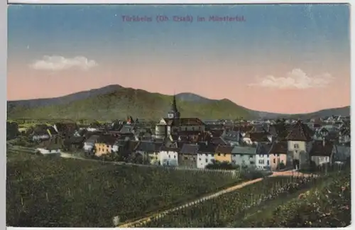(17179) AK Türkheim (Elsaß), Münstertal, vor 1945