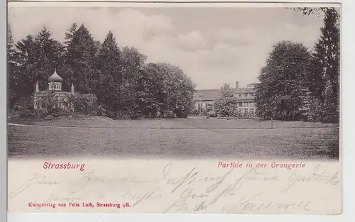 (112110) AK Straßburg, Strasbourg, Parc de l'Orangerie, bis um 1905