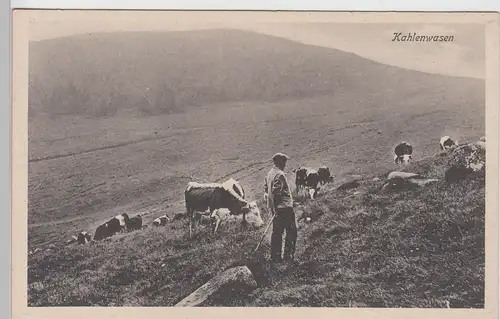 (110840) AK Der Kahle Wasen, Petit Ballon (Hochvogesen), vor 1945