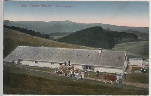 (110831) AK Der Kahle Wasen, Petit Ballon (Hochvogesen), 1919
