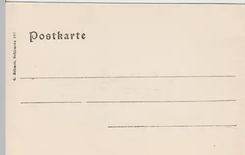 (107592) AK Saales, Rathausplatz, vor 1905