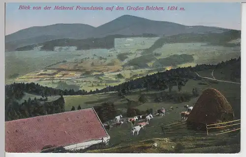 (100210) AK Großer Belchen, Grand Ballon, Blick v.d. Melkerei Freundstein, vor 1