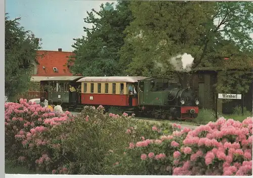 (70291) AK Museumsbahn der DB Nr. 114 in Asendorf, nach 1945