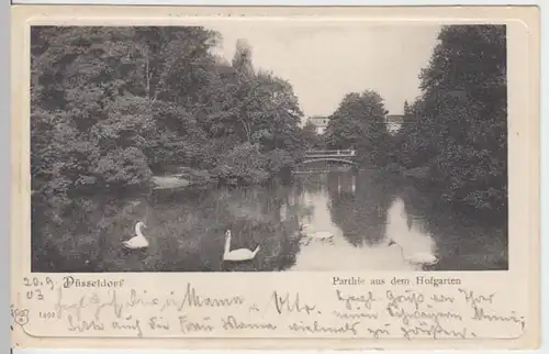 (3934) AK Düsseldorf, Hofgarten 1903