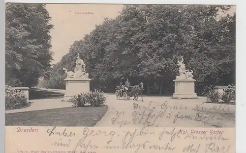 (99966) AK Dresden, Großer Garten, Hauptallee, Pferdekutsche 1903