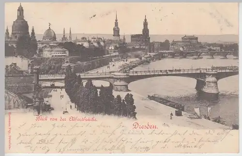 (99958) AK Dresden, Blick von der Albertbrücke 1899