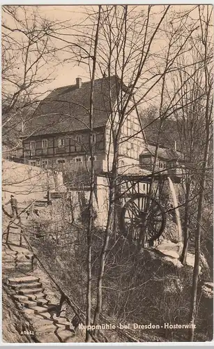 (94005) Foto AK Dresden Hosterwitz, Keppmühle 1960