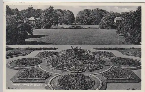 (84291) AK Dresden, Partie im Großen Garten 1937