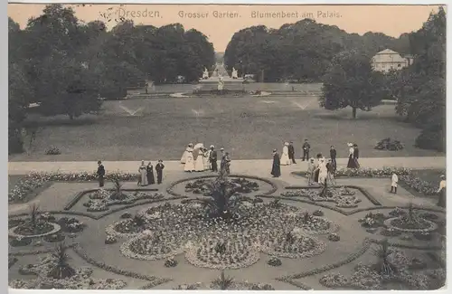 (41829) AK Dresden, Großer Garten, Blumenbeet am Palais, 1912