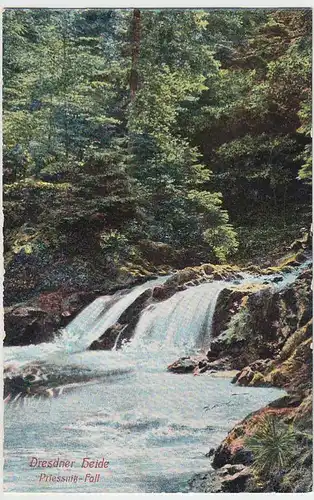 (31968) AK Dresdner Heide, Prießnitz-Fall, vor 1945