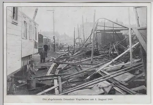(115853) AK Dresden, Vogelwiese, nach dem Brand 1909