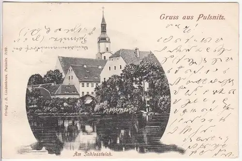 (113791) AK Gruß aus Pulsnitz, Schlossteich 1901