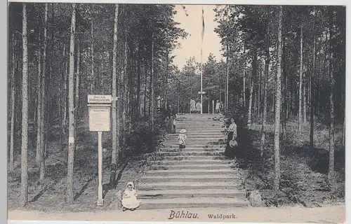 (113505) AK Bühlau, Dresden, Waldpark, Treppe, vor 1945