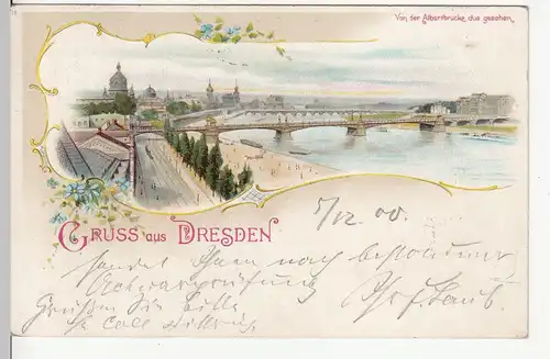 (113239) Künstler AK Gruß aus Dresden, Blick von der Albertbrücke 1900