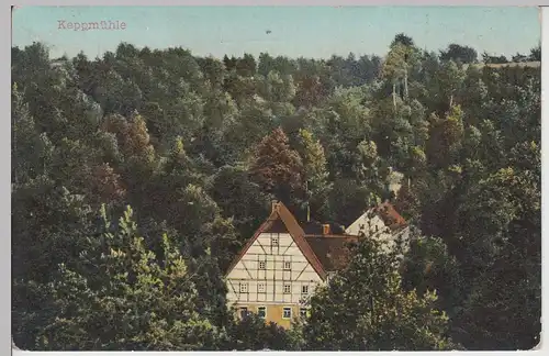 (108503) AK Keppmühle, Dresden, Hosterwitz, Keppgrund, Feldpost 1917