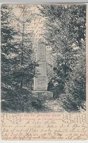 (107083) AK Gruß aus der Dresdner Heide, Wettinsäule, Prießnitzgrund 1907