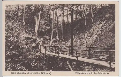 (52492) AK Buckow, Märkische Schweiz, Silberkehle, Teufelsbrücke, v. 1945