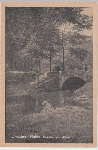 (100698) AK Dresdner Heide, Priessnitzgrund-Straße, vor 1945