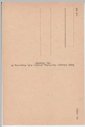 (100698) AK Dresdner Heide, Priessnitzgrund-Straße, vor 1945