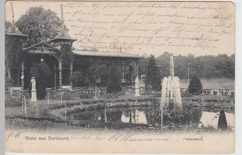 (105698) AK Gruss aus Dortmund, Fredenbaum, 1905
