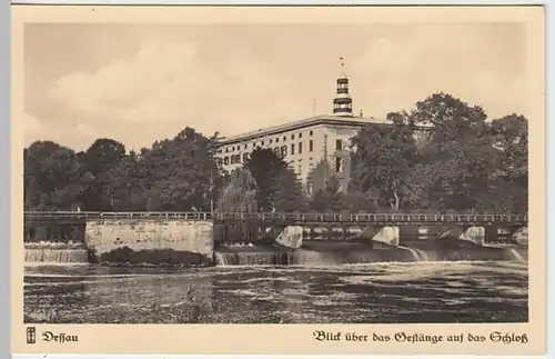 (19944) Foto AK Dessau, Schloss, Feldpost 1941