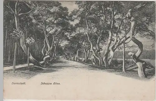 (79417) AK Darmstadt, Schepp Allee, vor 1945