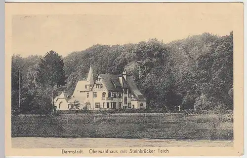 (36175) AK Darmstadt, Oberwaldhaus m. Steinbrücker Teich, vor 1945