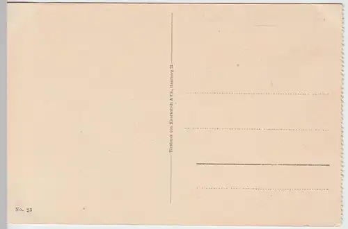 (60044) AK Danzig, Lange Brücke, vor 1945
