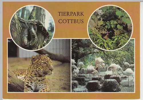 (96188) AK Cottbus, Tierpark, Mehrbildkarte, 1983