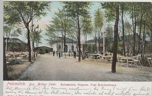 (82938) AK Chemnitz Siegmar, Pelzmühle, Restauration 1906
