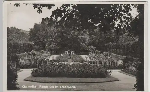 (77673) Foto AK Chemnitz, Rosarium im Stadtpark, 1933