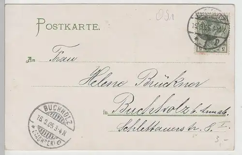 (76291) AK Chemnitz, Inselpartie am Schlossteich 1905