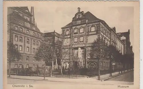 (73666) AK Chemnitz, Sachs., König-Albert-Museum, Versteinerter Wald